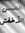 الحسن علي