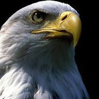 عبدالله مياس