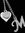 Misbah M