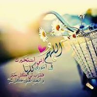 البلبل الطائر