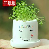My Nguyễn