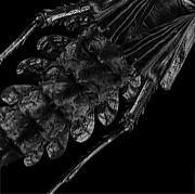 Александр Чумаченко