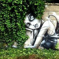 Kathy Morrison Haddock