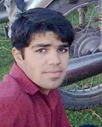 حمید رضا