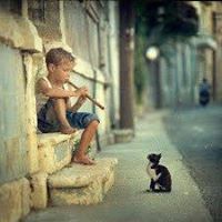 فادي ابو غفره