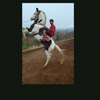 Aashutosh Singh