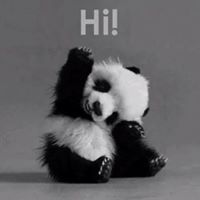 Patrick Ribert Buczkowski