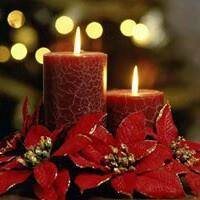 নীল অপরাজিতা