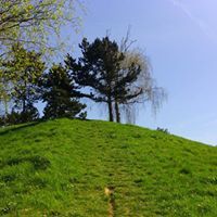 خميس البيطار