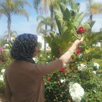 Hajar El Arabi