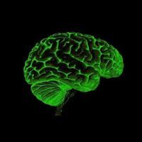 Д.Эрдэнэбулган Д.Эрдэнэбулган