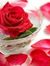 Razan H...