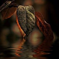 عبدالاله الشمري