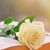 Badreya Alrashdi