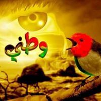 سوسن الشرقاوى