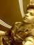 Afs AL