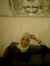 Yosra A...