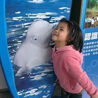 イイージン シュウ