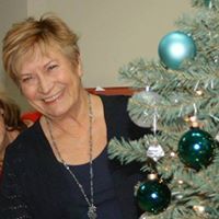 sue hollahan