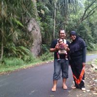 David Alfison
