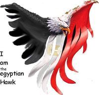 Abdelrahman Elashrawy