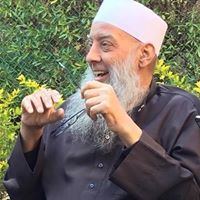 محمد سليمان