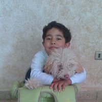 Hossam Mostafa