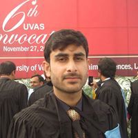 Sabir Subhan