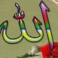 احمد راشدبيدق