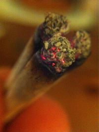 Жељко Кршић