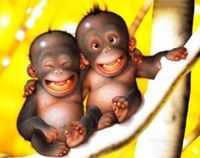 Viktorija Soldatenko