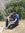 Deep (deepjahan) | 8 comments