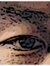 Quiet Zoom