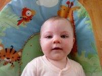 Suzanne 'Davies' Milton