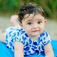 பாசப் பறவை