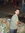 Michael Granger | 7 comments