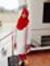 Yumna H...