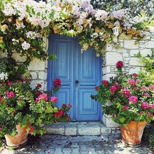 اسراء سعداوى