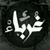 Noor AL Baraa