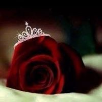 د.سلمى عادل