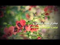 حافظة القرآن
