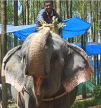Mahesh Viswa