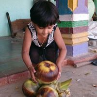 Sreenivas Reddy