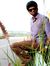 Sachin ...