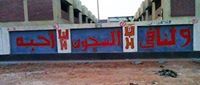 Ziad Elsemary