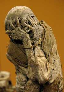 Comtesse DeSpair