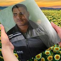 الميسترو فون