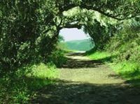 خلود عبدالله