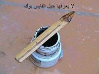 السغروشني السغروشني