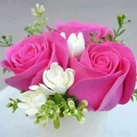 هادى المسارى